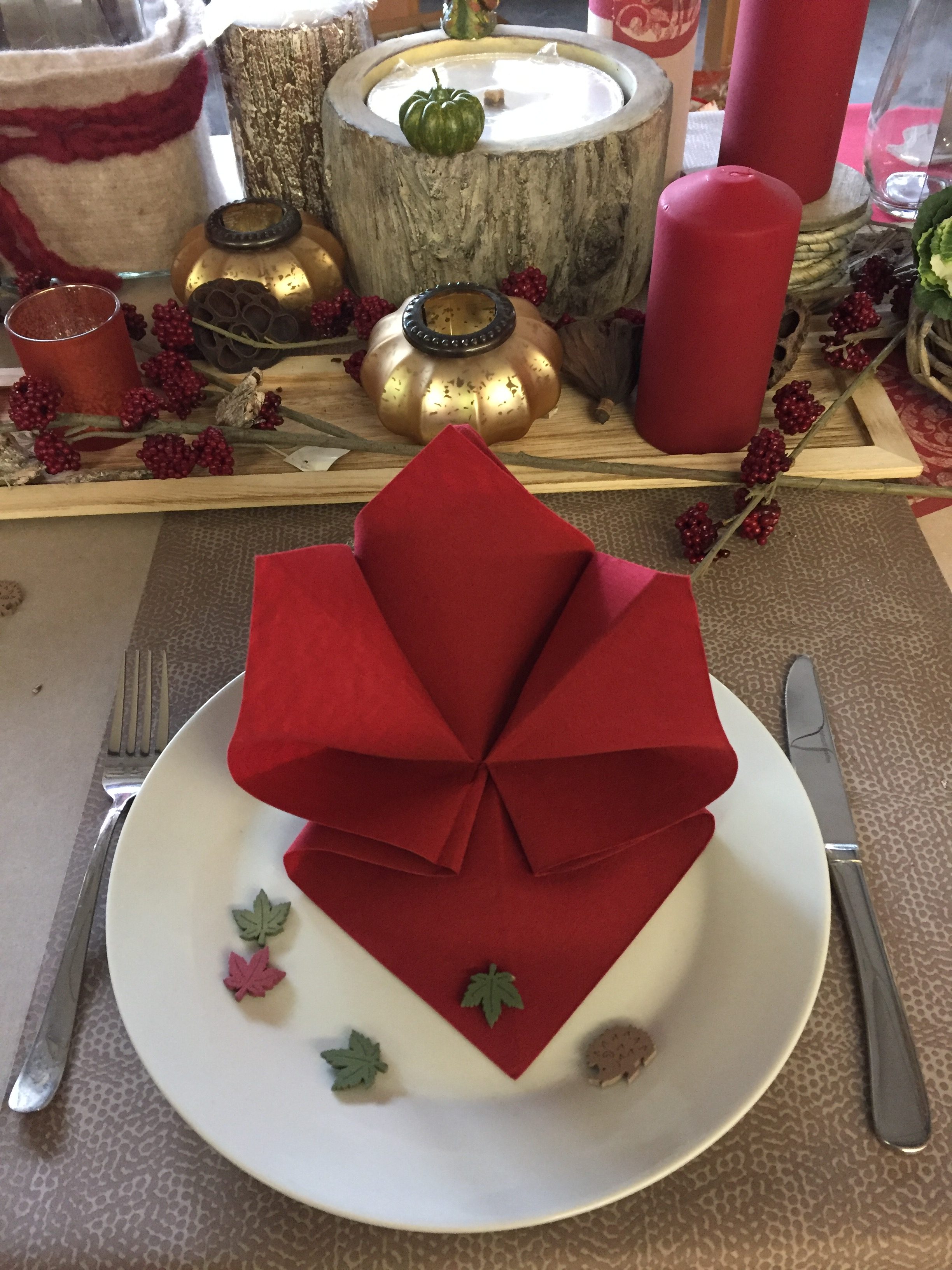 Servietten Tischdeko, Dekomaterial Hof Packwa